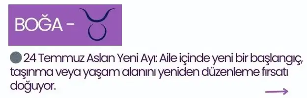 ay8 (2).webp