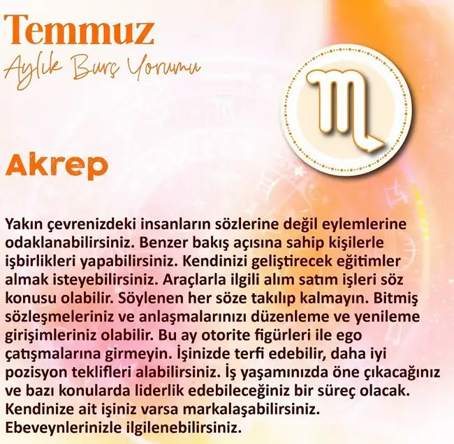 ay8 (2).webp