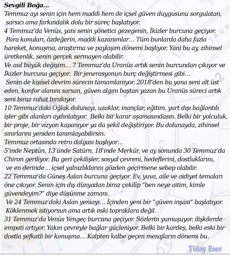 ay8 (3).webp