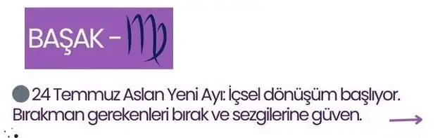 ay8 (4)a.webp