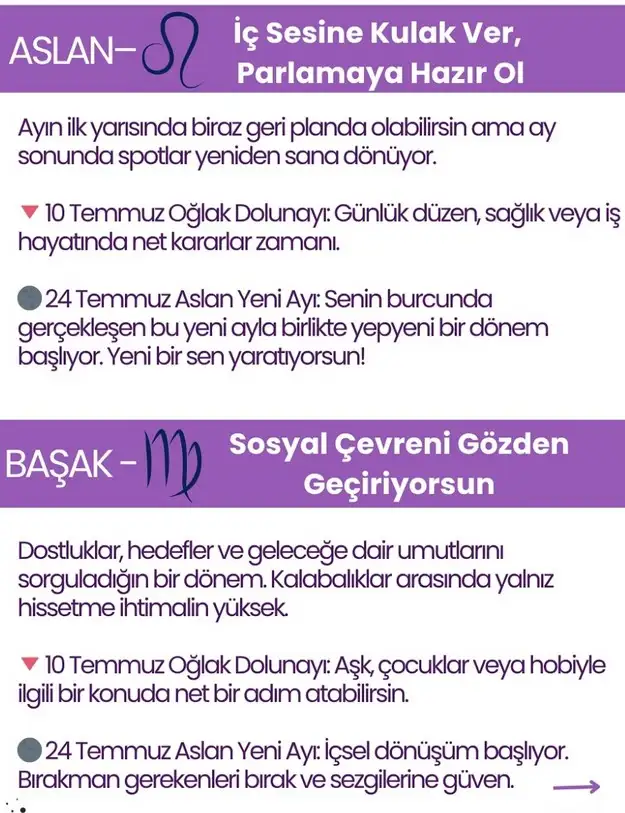 ay8 (4).webp