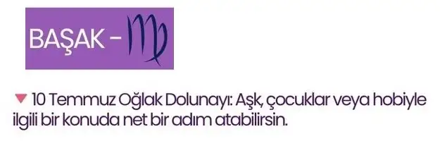 ay8 (4).webp