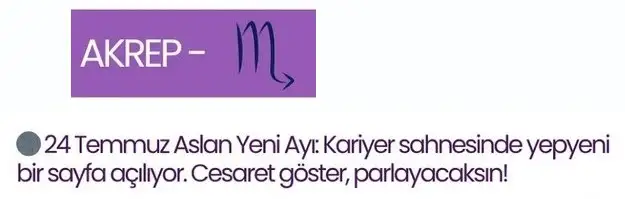 ay8 (5)a.webp