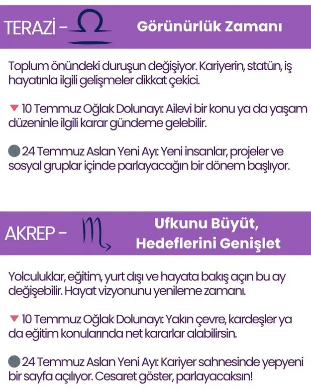ay8 (5).webp