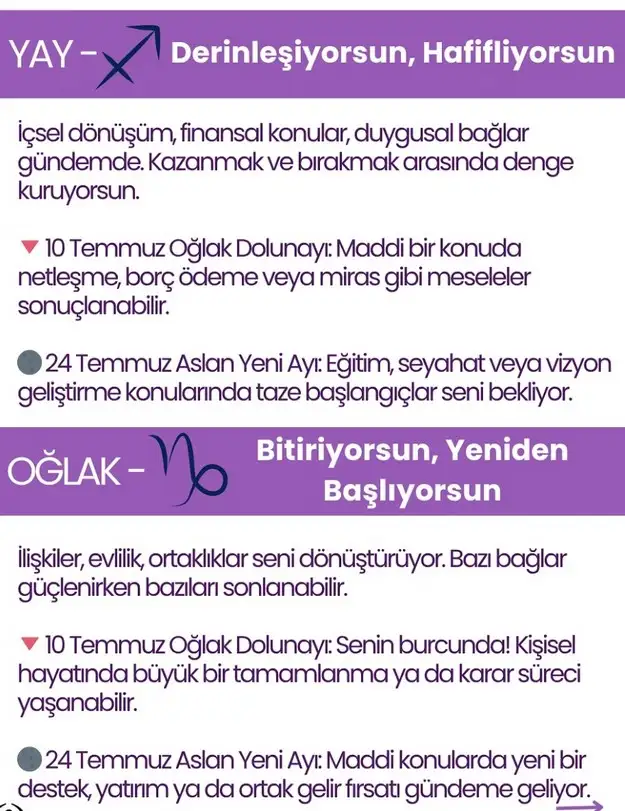 ay8 (6).webp