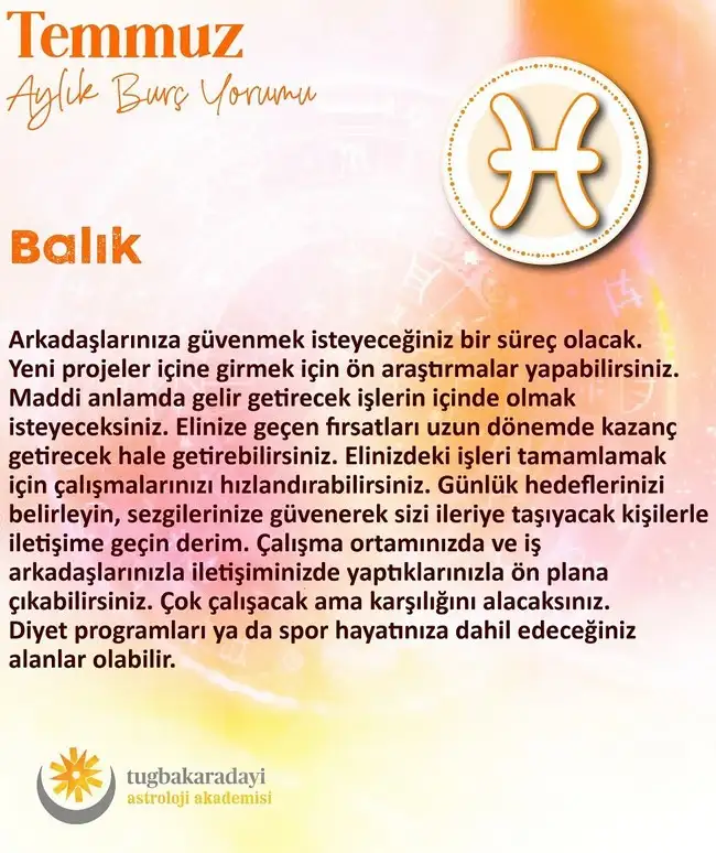 ay8 (6).webp