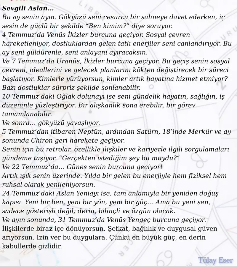 ay8 (6).webp