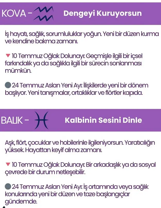 ay8 (7).webp