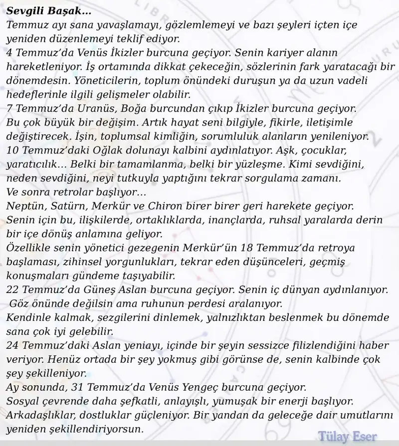 ay8 (7).webp