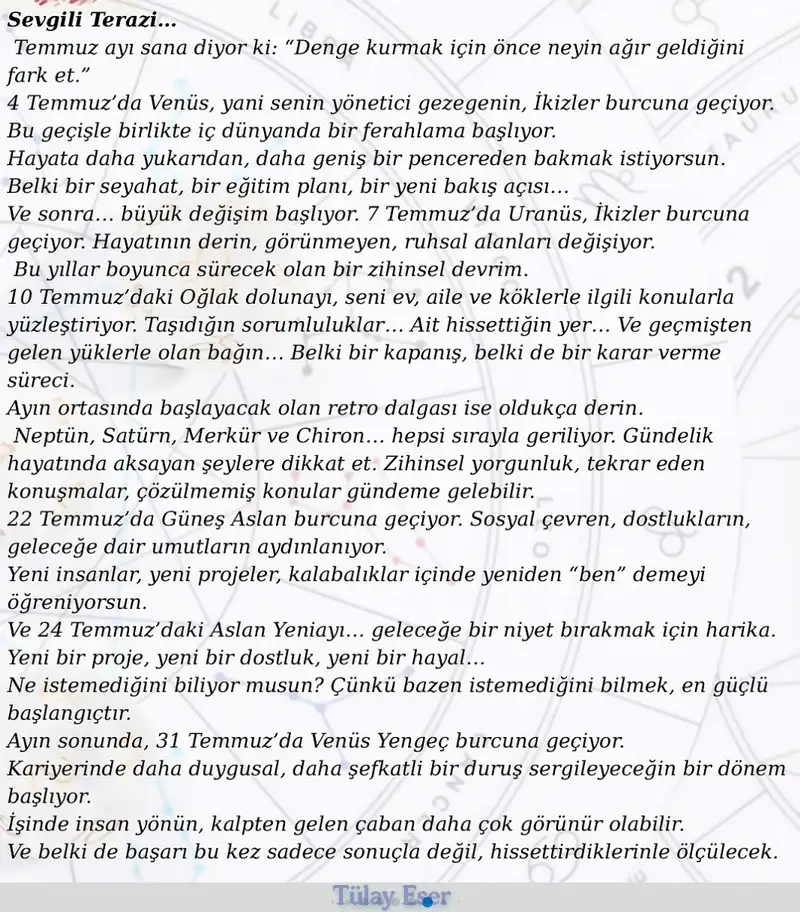 ay8 (8).webp