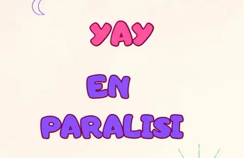 ay9 (10).webp