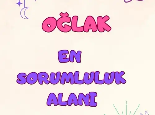 ay9 (11).webp