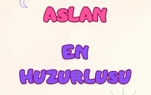 ay9 (6).webp