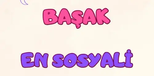 ay9 (7).webp
