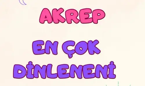 ay9 (9).webp