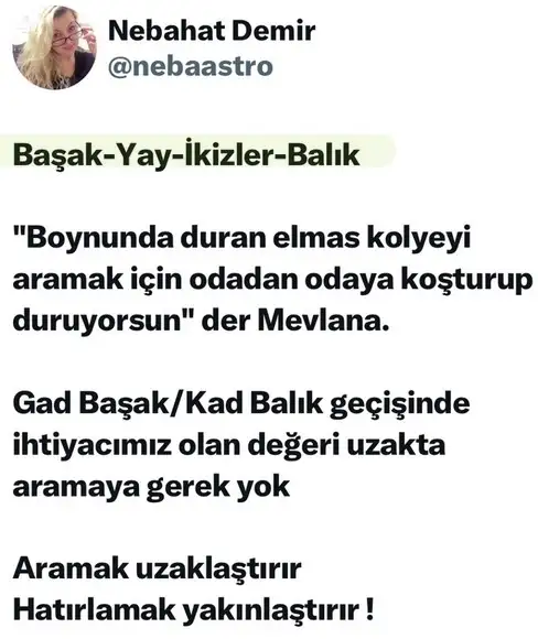 ayd - Kopya.webp