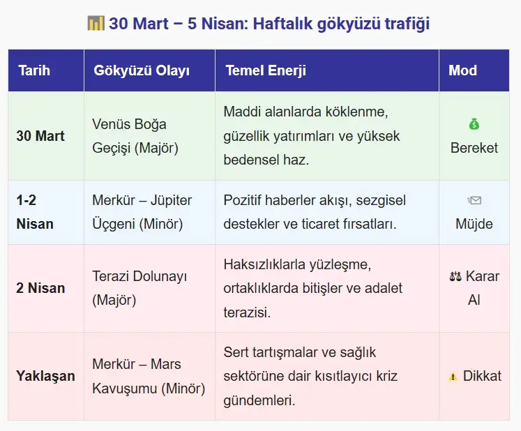 ayı2 (11).webp