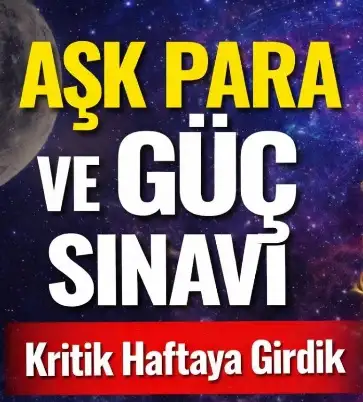 ayı2 (11).webp