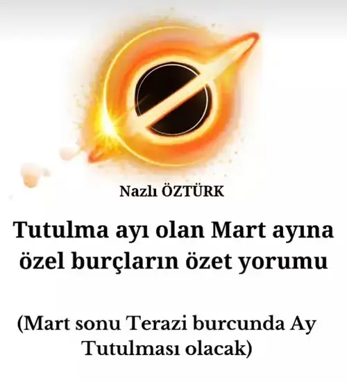 ayl mrt (1).webp