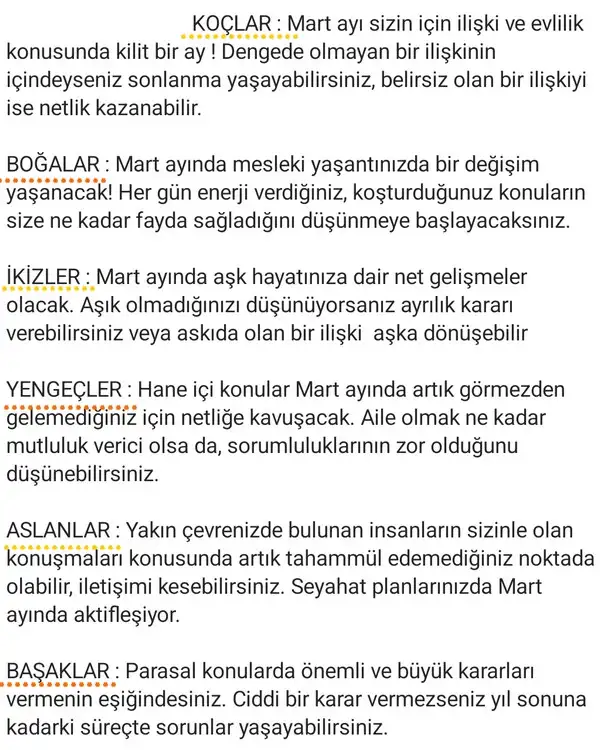 ayl mrt (2).webp