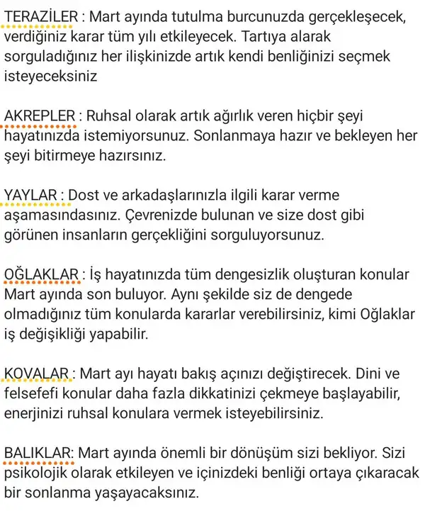 ayl mrt (3).webp