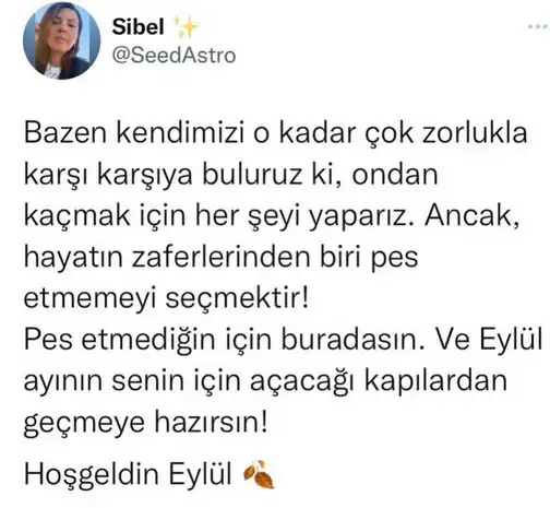 ayl.webp