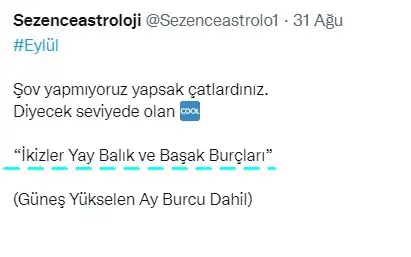 ayl.webp