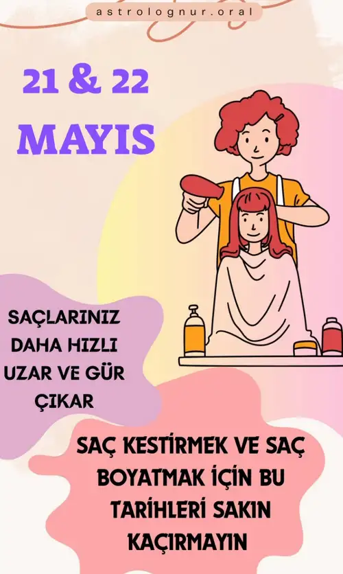 ayl.webp