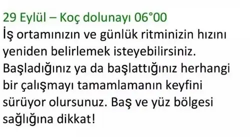 aylık 1 (27) - Kopya.webp