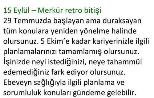 aylık 1 (30).webp