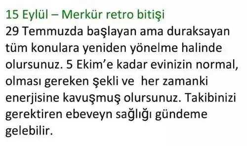 aylık 1 (9).webp