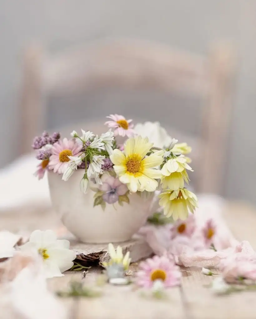 aylık (7).webp