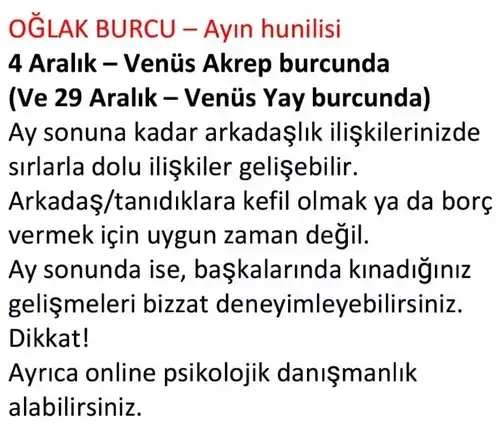 aylık aralık1 (40).webp
