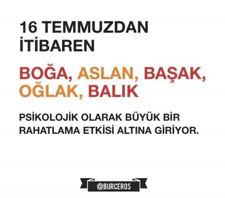 aylık.webp