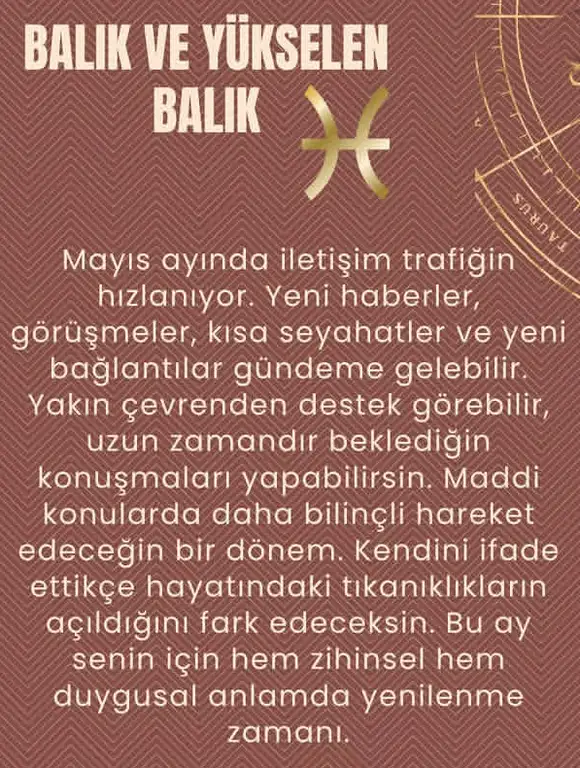 aylık4 (13).webp