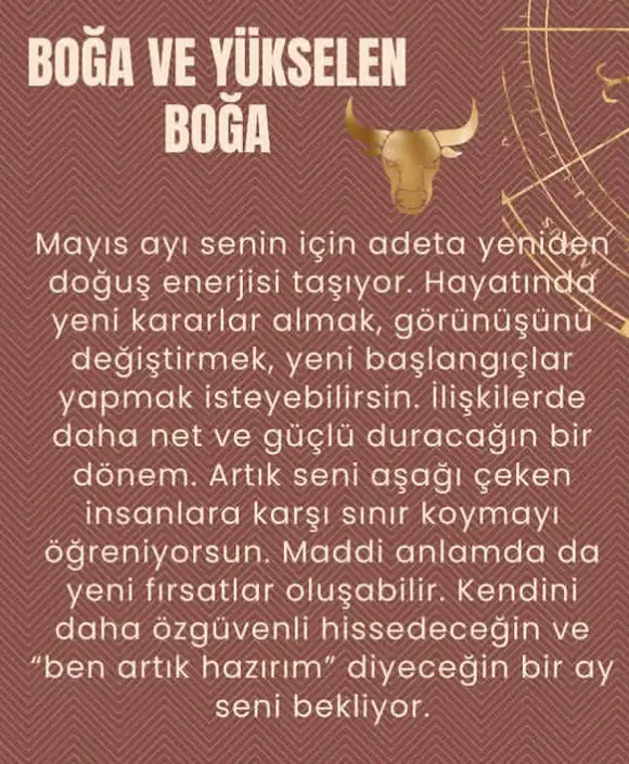 aylık4 (3).webp
