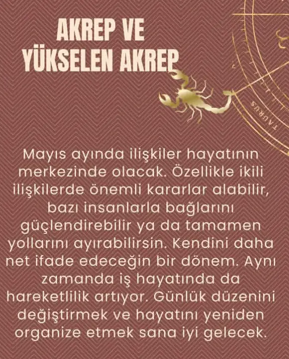 aylık4 (9).webp