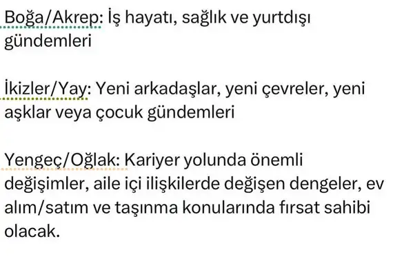 ays (3).webp