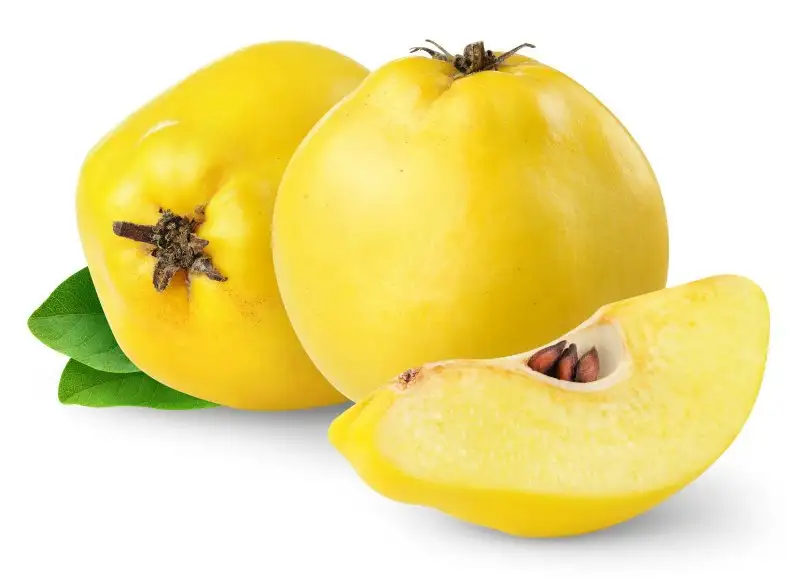 ayvanın-faydaları.webp