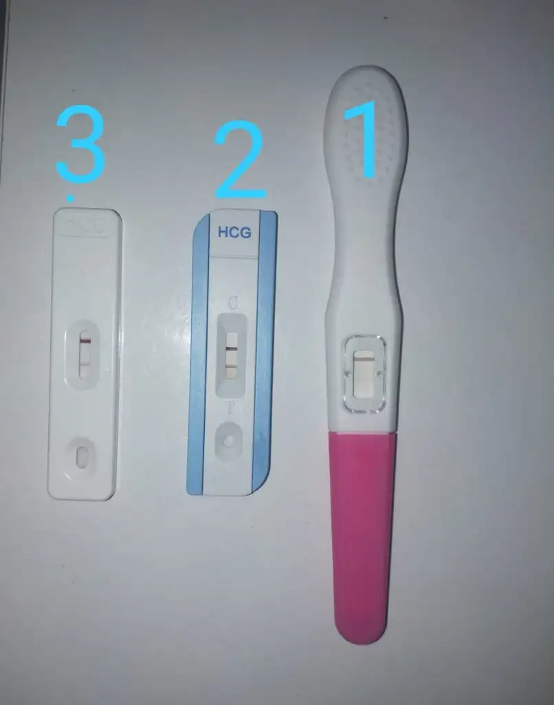 b.jpg