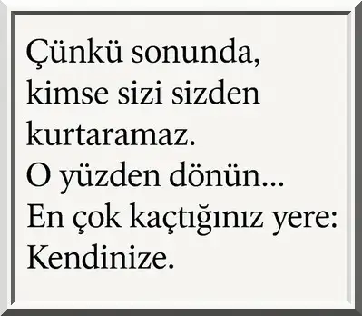 b1 (1).webp