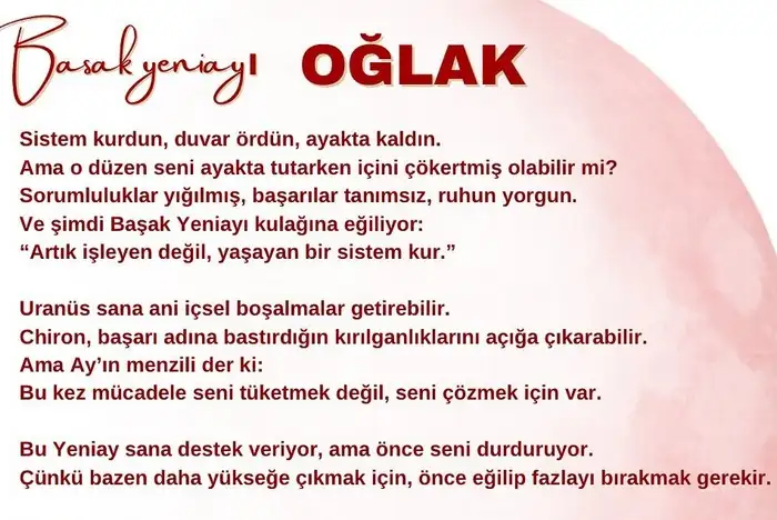 b1 (10).webp