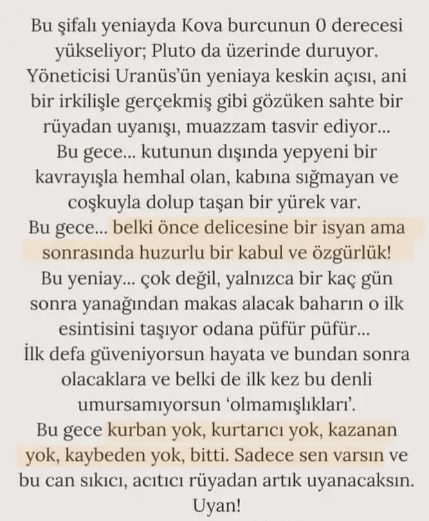 b1 (10).webp