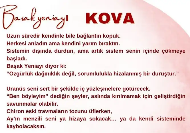 b1 (11).webp