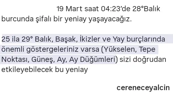 b1 (11).webp