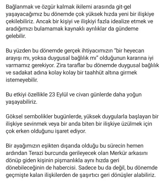 b1 (2).webp