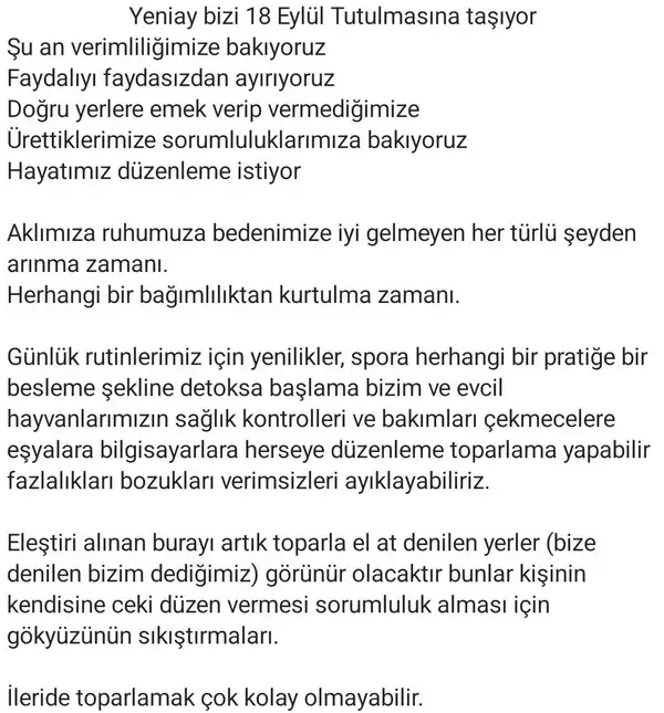 b1 (2).webp
