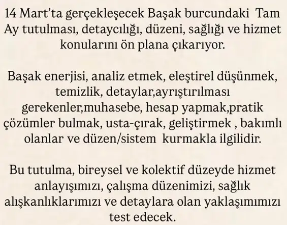 b1 (2).webp