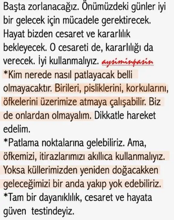 b1 (2).webp