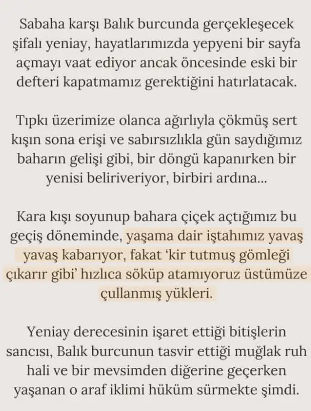 b1 (2).webp